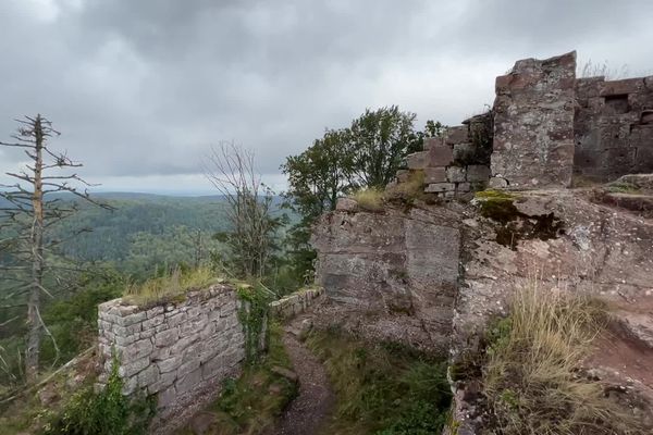 Le Château d'Ochsenstein se situe au cœur de la forêt domaniale de Saverne.