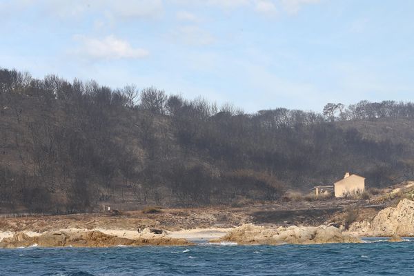 Le feu a détruit 400 hectares les 24 et 25 juillet dernier sur les communes de la Croix-Valmer et Ramatuelle