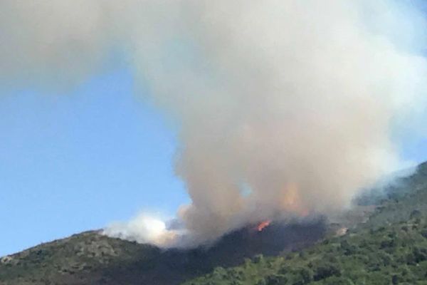 Incendie à Bisinchi, 2 hectares partis en fumée. 