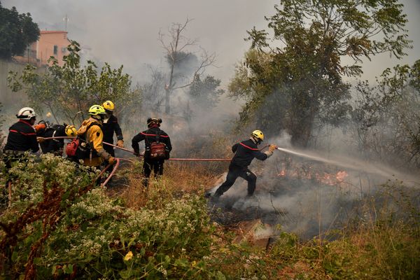 Des pompiers français luttent contre les flammes dans un village situé à 30km d'Athènes. 