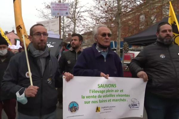 La tête du cortège des éleveurs manifestants lundi matin 15 novembre au marché de Louhans.