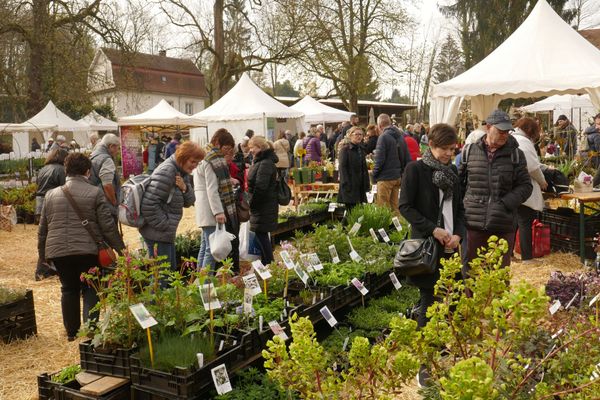 Le marché aux plantes de Mulhouse attire de nombreux visiteurs.