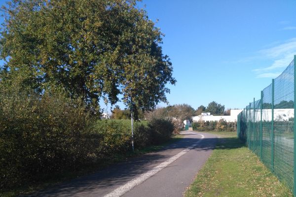 La pylône serait installé à une dizaine de mètres de ce chêne planté devant le collège Tabarly à La Baule