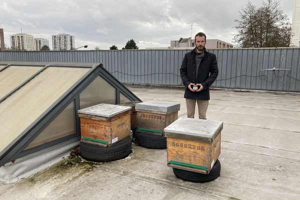 À Lorient, BeeCause a installé trois ruches sur le toit d’un Intermarché dans le quartier de Lanveur.  