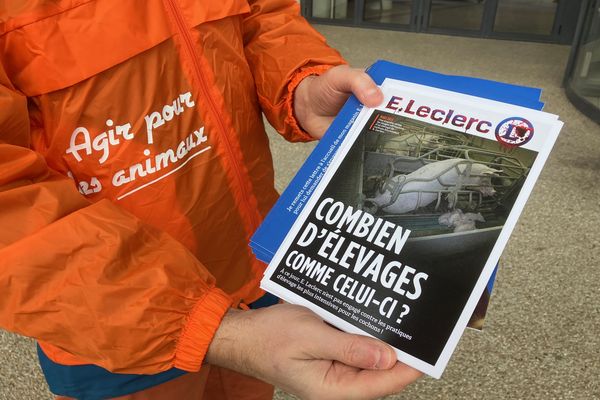 Les militants ont distribués des tracts pour demander à l'enseigne E.Leclerc "d’exclure de ses approvisionnements les exploitations qui exercent les pires pratiques d’élevage".