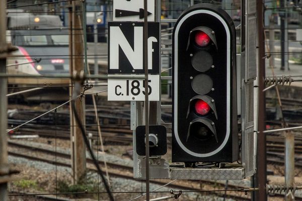 Le train Paris - Clermont-Ferrand de 16h01 a percuté deux fois des sangliers, vendredi 12 janvier 2018.