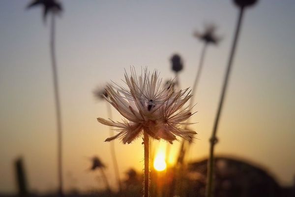 ça sent le printemps...