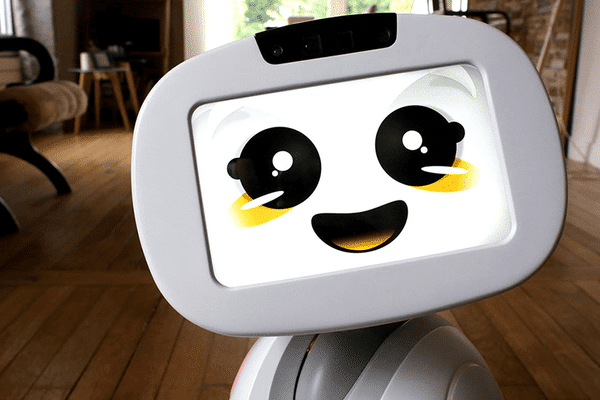 Un exemple de robot, ici Buddy ! 