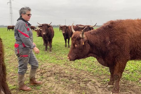 Au milieu de ses bêtes, Béatrice Martin s'avoue très déçue par l'issue donnée au mouvement des agriculteurs.