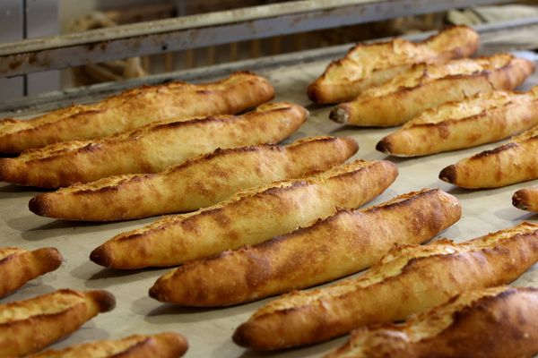 Mahmoud M'seddi est le gagnant du Grand Prix de la meilleure baguette parisienne. Il fournira l'Elysée pendant un an.