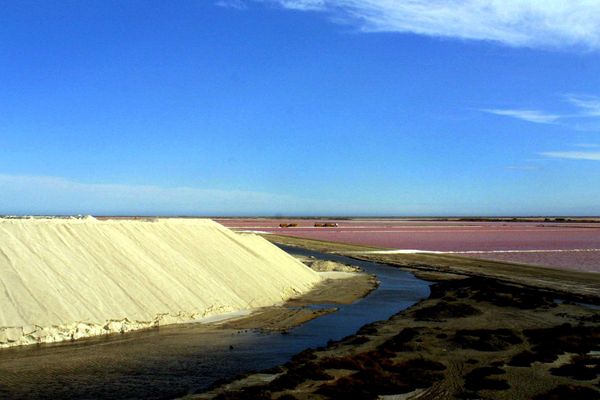 Salins et camelles de sel en Camargue