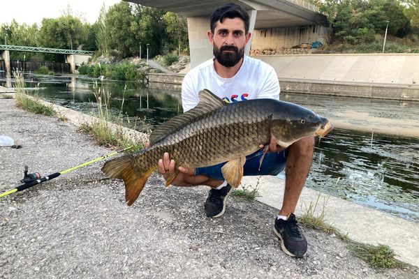 Florin et sa carpe de 7 kilos, pêchée en pleine ville, au bord du Lez, à Montpellier. Ce joli spécimen de poisson d'eau douce a retrouvé son milieu naturel, peu de temps après avoir posé pour la photo.