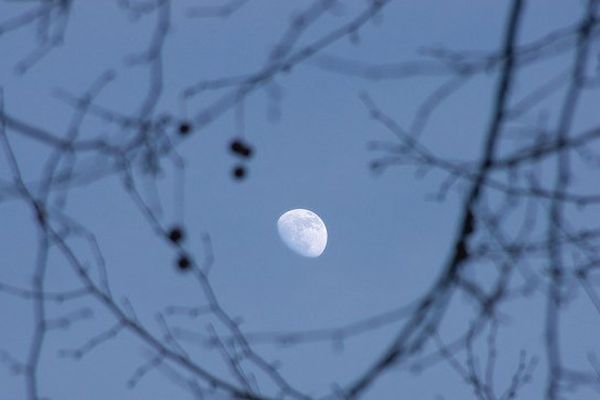 Un homme qui viendrait de la Lune ? Peu crédible pour les gendarmes qui n'arrivent pas à savoir qui est cet homme nu.