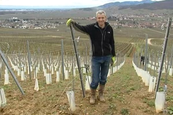 Félix Meyer, viticulteur à Kientzheim 