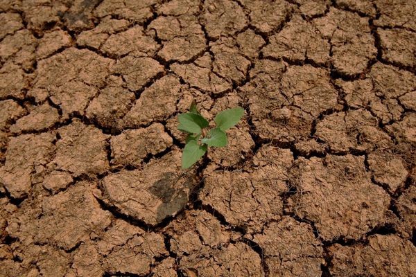 La sécheresse et les fortes chaleurs annoncées ont contraint le préfet de l'Aveyron à restreindre l'usage de l'eau dans son département.