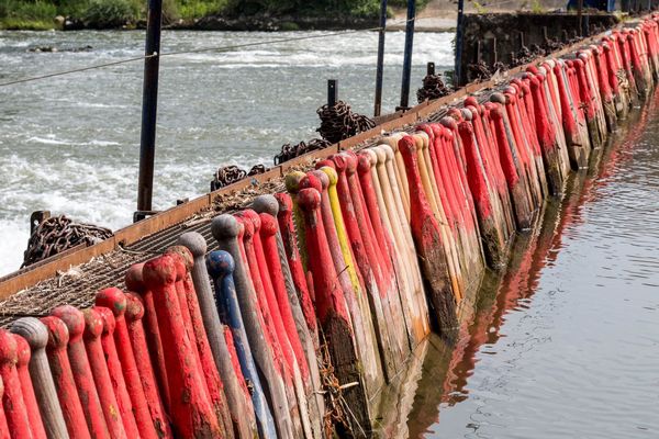 La fin des barrages à aiguilles dans les Ardennes