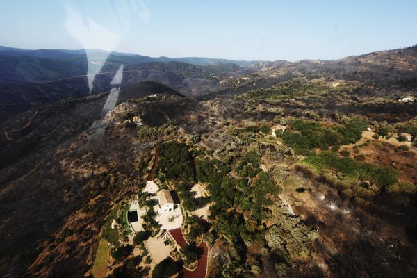 Plus de 7 000 hectares de forêt ont été ravagés dans le Var depuis le 16 août dernier.