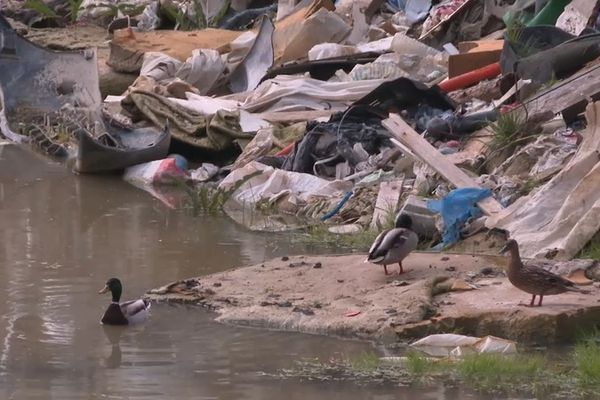 VIDEO. Ancien bidonville à l'abandon : "un désastre écologique" sous la responsabilité de l'Etat