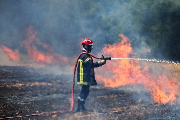 Photo d'illustration - Incendies de broussailles en Haute-Vienne -  mercredi 29 juillet. (photo d'illustration)