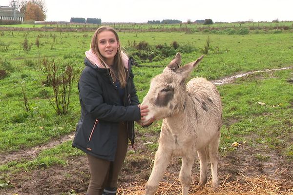 Amandine Delaplace brigue pour la 3ème fois le titre de Miss France Agricole