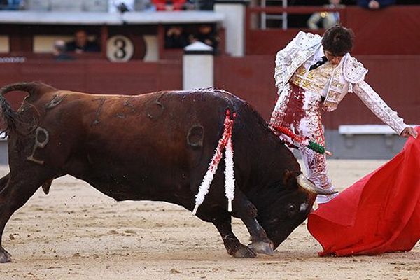 La main gauche et les naturelles de la famille Adame ne cessent de briller:celles deJoselito, ici à Madrid lors de la San Isidro et il y a deux jours à Mexico. Celles aussi du benjamin Luis David, hier à Saint-Sever.