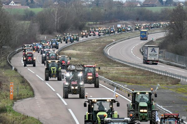 Début 2024, des manifestations historiques avaient mobilisé des agriculteurs de tout le pays.