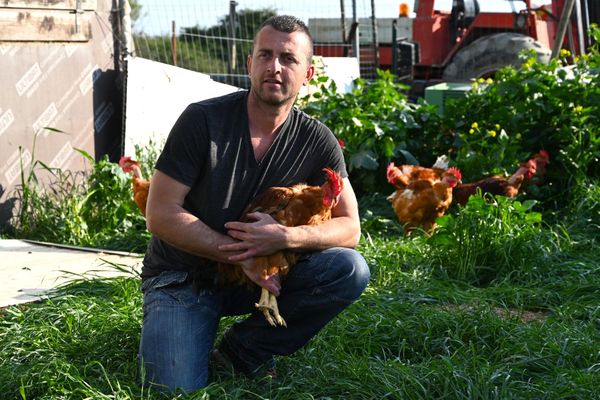 Pierre Boze, agriculteur à Saint Laurent d'Aigouze