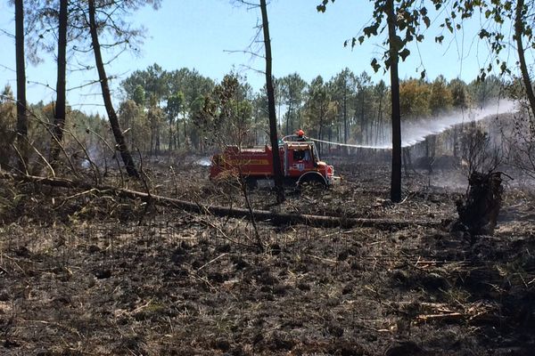 Un incendie a détruit 14 hectares de forêt à Bedenac (Charente-Maritime)