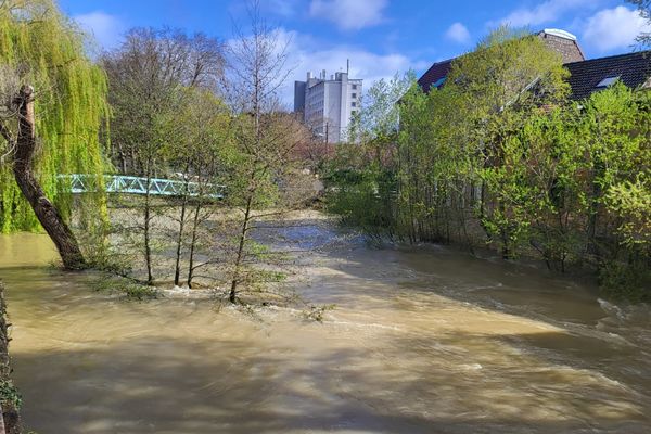 Inondations de Pâques en Bourgogne : la crue de l'Ouche à Dijon (02/04/2024)