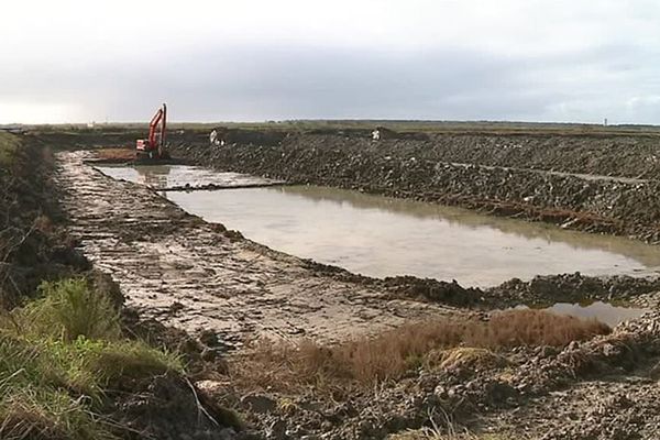 Les travaux de réhabilitation engagés dans les marais sur la commune de St-Clément-des-Baleines sur l'île de Ré.