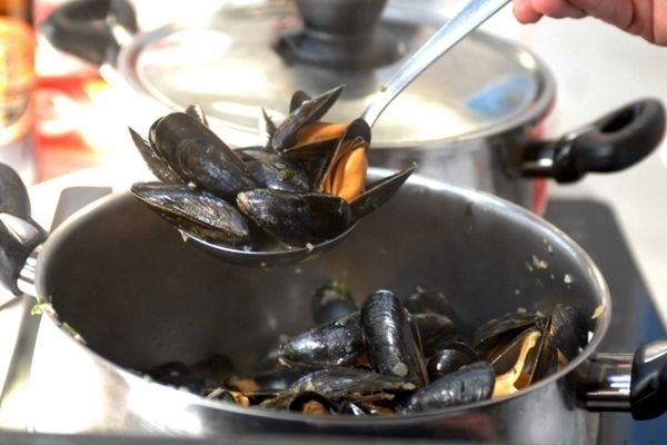 Les consommateurs de moules de Bouchot devront apprendre un nouveau sigle : STG.