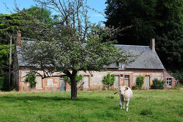 Un clos-masure au printemps