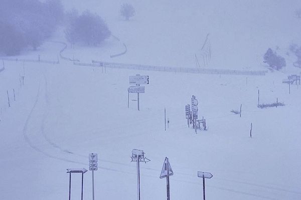 10 centimètres de neige au Markstein, de la poudreuse tellement attendue tout l'hiver par les fans de glisse