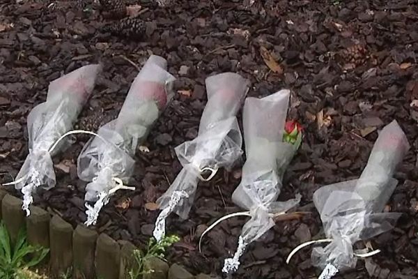 Cinq fleurs avaient été déposées devant le domicile familial le lendemain de la découverte du drame