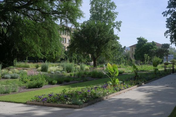 Le jardin Dominique-Alexandre Godron à Nancy en juin 2021 après sa rénovation.