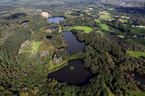 Vue aérienne du plateau des mille étangs, en Haute-Saône.