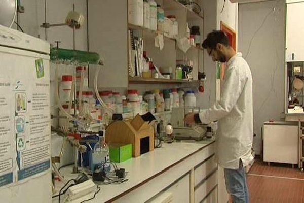 Les laboratoires de recherche sont exposés à la nouvelle mesure d'austérité qui va toucher les universités françaises.