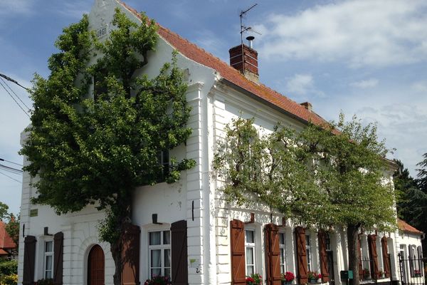 Recques-sur-Hem : 2 poiriers de la façade d'une maison labellisés «Arbres remarquables»