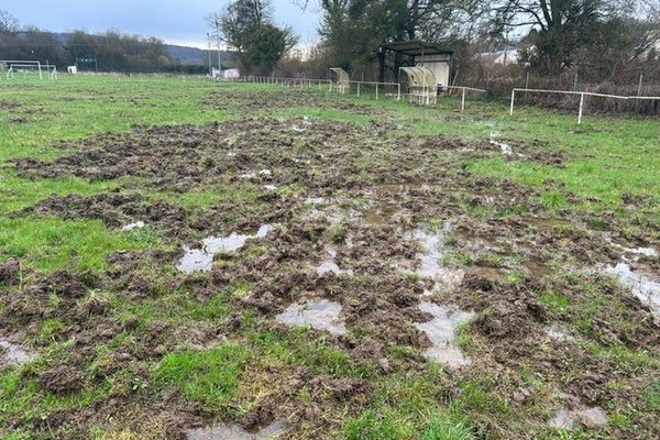 Le terrain de football de Germaine, ravagé par les sangliers.