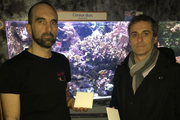 David Brathome, directeur de l’aquarium de Limoges, et Éric Denes, directeur scientifique d’I.Céram, avec les plaques de céramique qui serviront de test pour la fixation du corail.