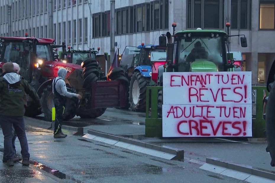 Agricultores de Francia y España se manifiestan juntos contra la política agrícola común europea