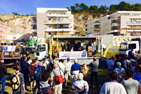 Une centaine d'apiculteurs professionnels manifeste à Avignon devant le siège de l'INRA.