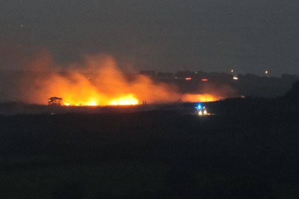 Les sapeurs-pompiers ont dû faire face à un front de flammes d'environ 100m.