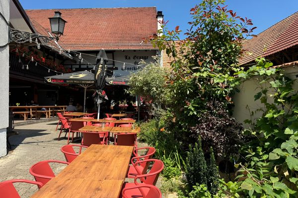 Plusieurs dispositifs dont des plantes répulsives pour lutter contre les moustiques en terrasse.