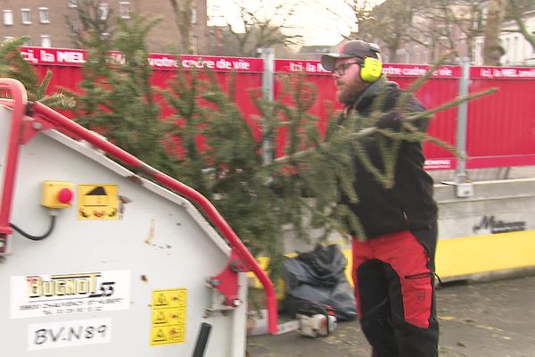 La ville de Lille propose 17 points de collecte pour les sapins jusqu'au 26 janvier 2025.