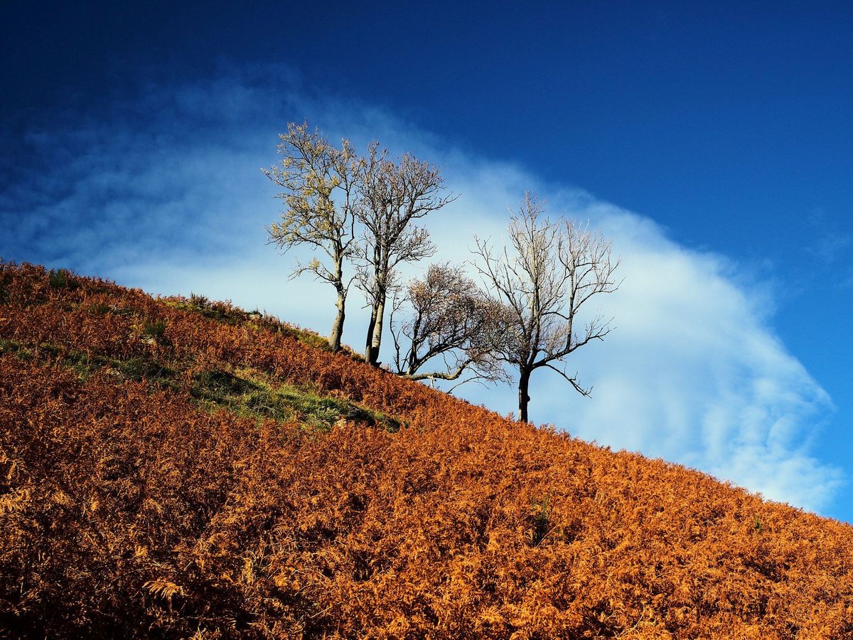 Photos L Auvergne Sous Les Couleurs Chatoyantes De L Automne