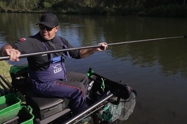 L'élite de la pêche au coup se réunit pour la première fois dans la Somme, à l'occasion du championnat de France de première division.