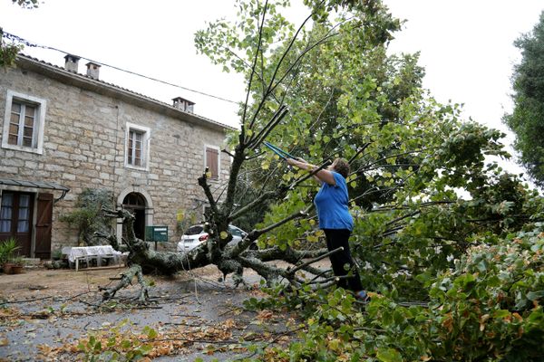 Les vents violents ayant touché la Corse jeudi 18 août a pris par surprise la population qui ne s'attendait pas à un tel phénomène climatique.