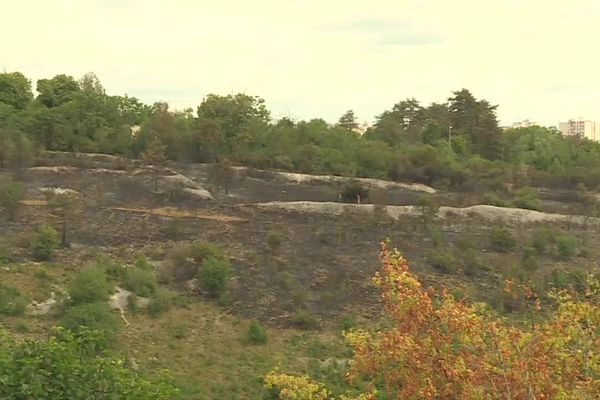 2,5 hectares ont brûlé.