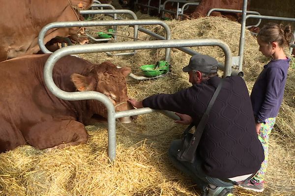 Péri'Meuh, le Salon de l'Agriculture du Périgord.